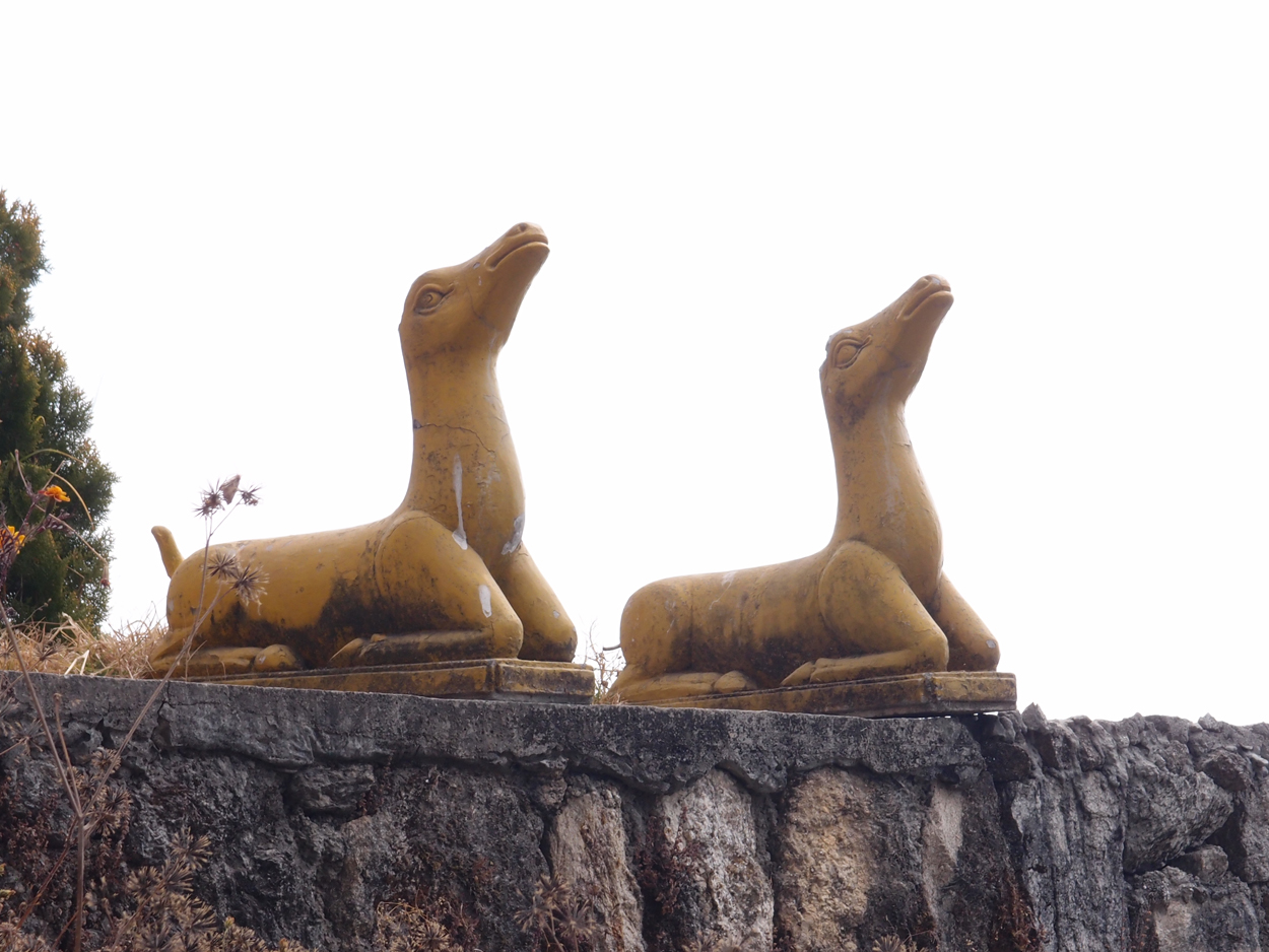 2018-01-16 12 Uhr - Im Shivapuri Nagarjun National Park (Nagi Gumba) (Foto) 